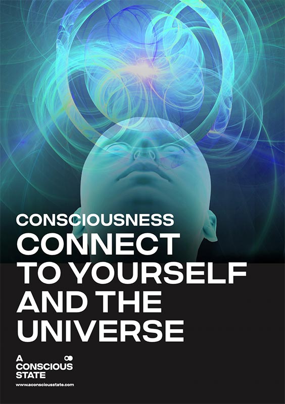 Understanding Consciousness - A Conscious State